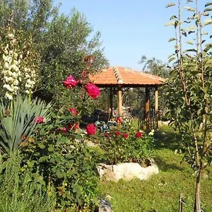 Branimir Apartment