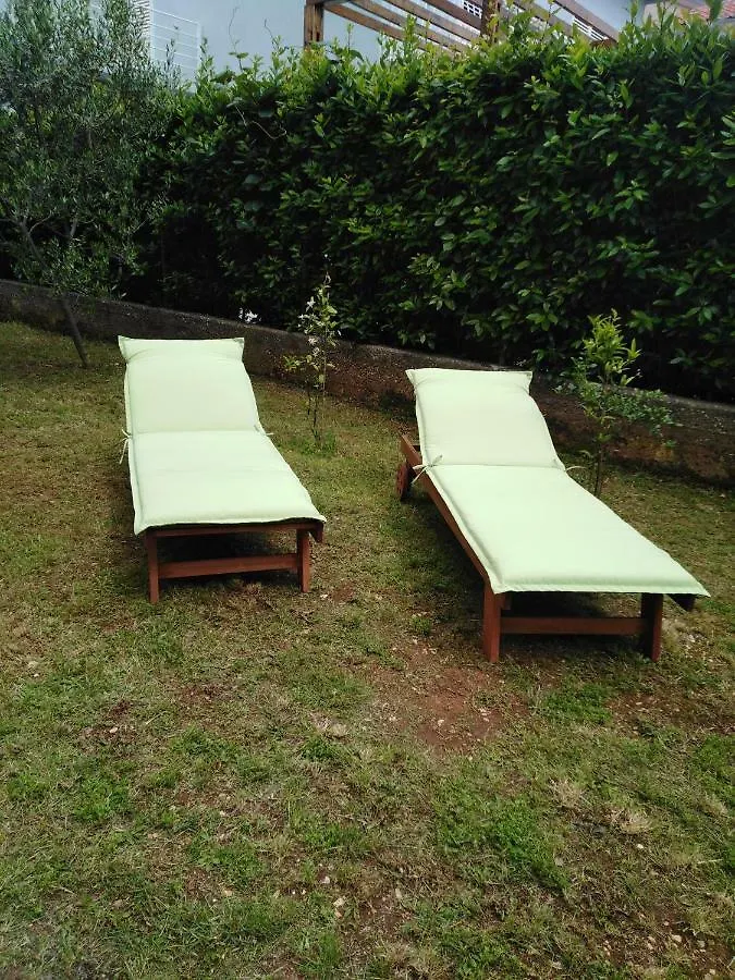Apartment Mirana With Garden And Free Parking Zadar Croatia